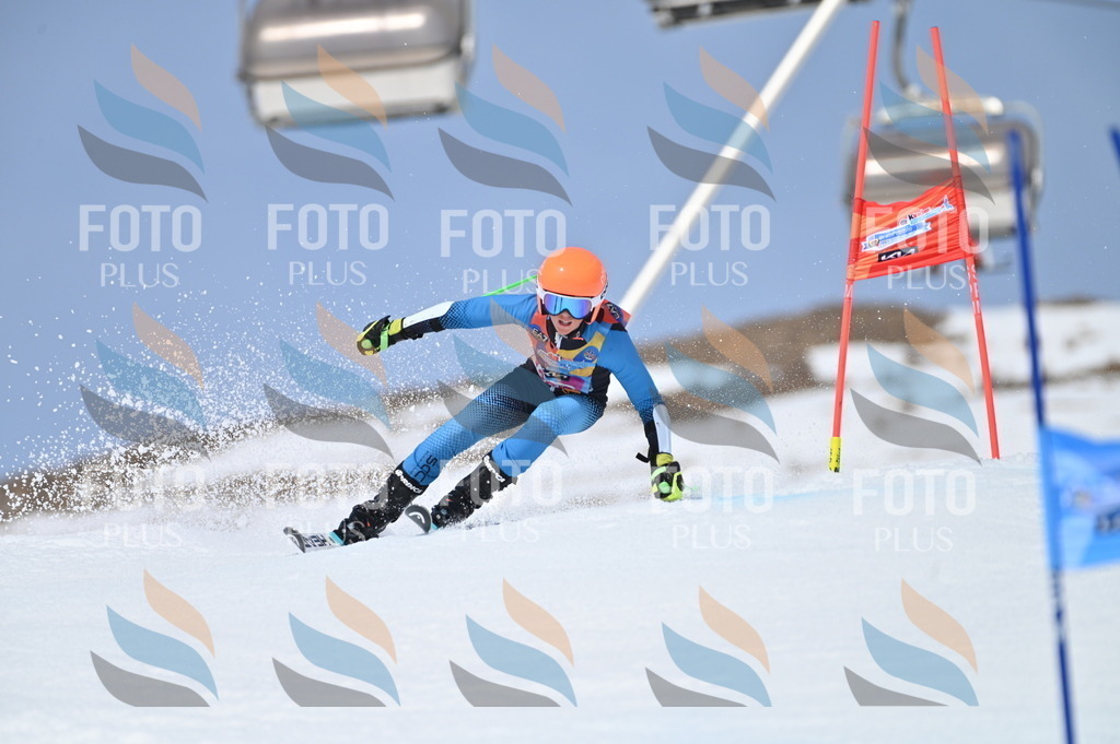 BGV_3947 | holidayphoto