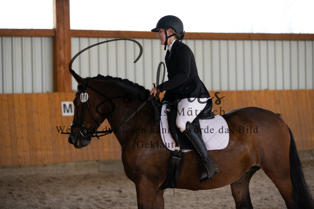 A7V01998 | Pferdefotograf