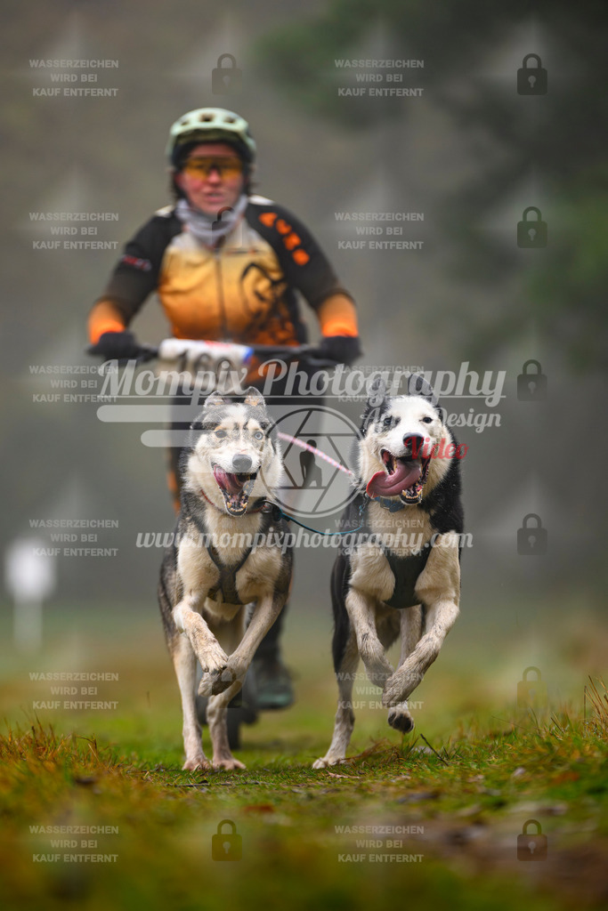 MompixPhotography_Bischwiller2025_Scooter-6 | mompixphotography