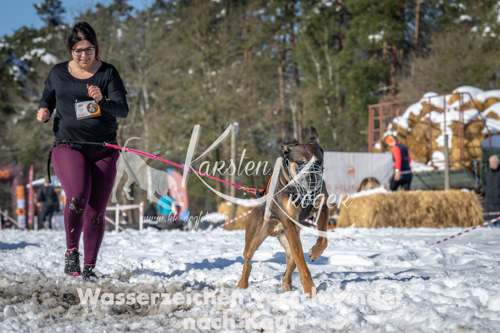 1117_ZZ91199-3 | kk-dogfotos