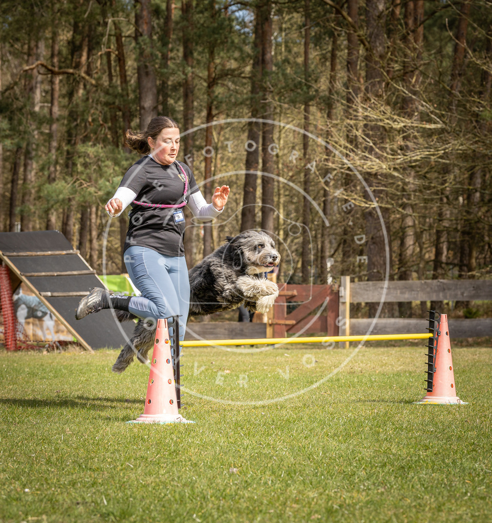 Pfotenfotografie_DV3A6357 | Hundefotografie, Tierfotograf, Pfotenfotografie, Fotoshooting Hund, Hunde Portrait, Hundesport, Hundeportraits, Heideshooting, Hunde, Sportfotograf, Hundefotograf, Turnierhundsport, THS,  - Realisiert mit Pictrs.com
