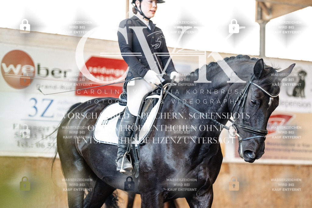 CK909484 | Turnierfotografie Pferdefotografie Trier Rheinland-Pfalz Pferdesport Reitsport Tierfotografie Sportfotografie Pferdevideo Pferdevideografie Equestrianvideography equestrianphotography  - Realisiert mit Pictrs.com