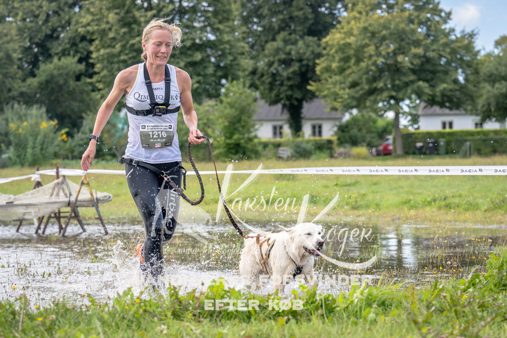 1058_ZZ91893 | kk-dogfotos