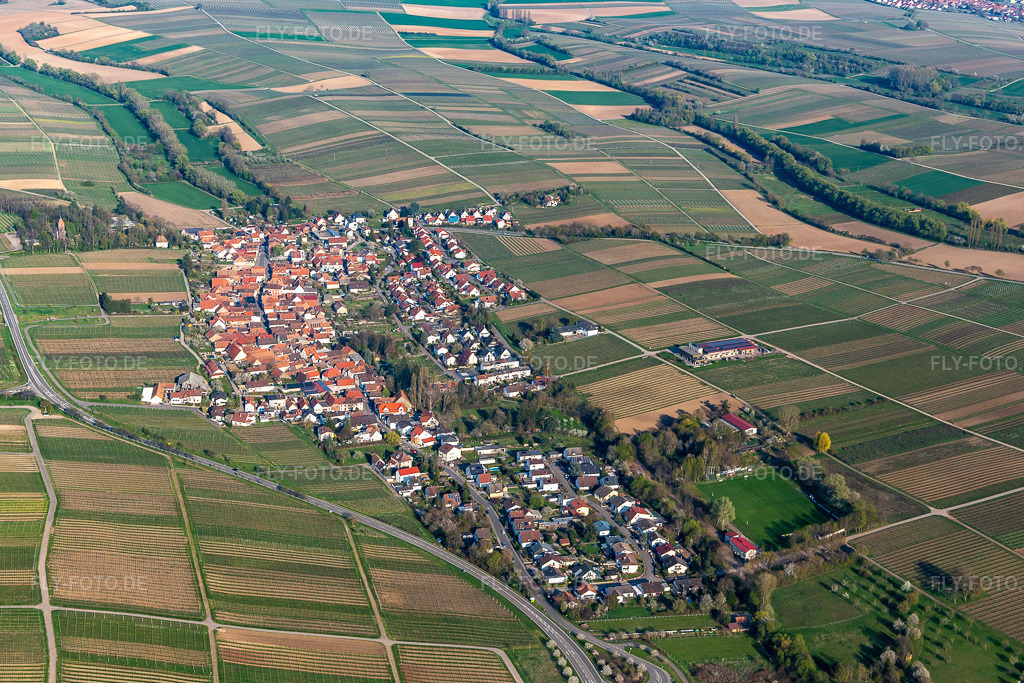 Luftbild: Ortsansicht im Ortsteil Wollmesheim in Landau im Bundesland Rheinland-Pfalz in Deutschland. Foto: IMG_126427.jpg vom 20.04.2021 durch Werner Riehm/FLY-FOTO.de