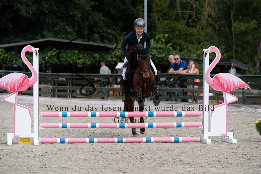 A7V07245 | Pferdefotograf