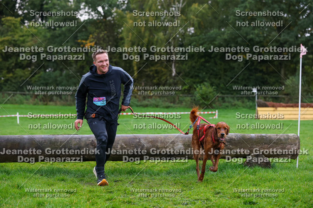 Dog Paparazzi -  SD1026-1982 | Dog Paparazzi Jeanette Grottendiek Fotografie & Videografie - Realisiert mit Pictrs.com