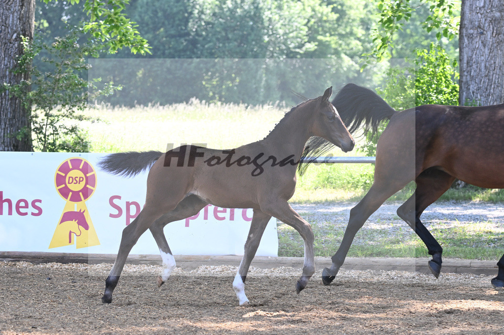 Kat-Nr. 2 SF Skyline to B_Schindele_14230036 | hf-fotografie - Realisiert mit Pictrs.com