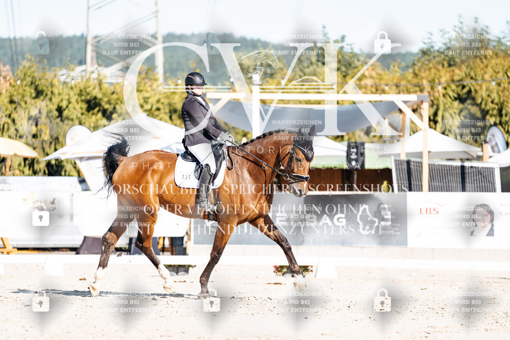 CK907719 | Turnierfotografie Pferdefotografie Trier Rheinland-Pfalz Pferdesport Reitsport Tierfotografie Sportfotografie Pferdevideo Pferdevideografie Equestrianvideography equestrianphotography  - Realisiert mit Pictrs.com