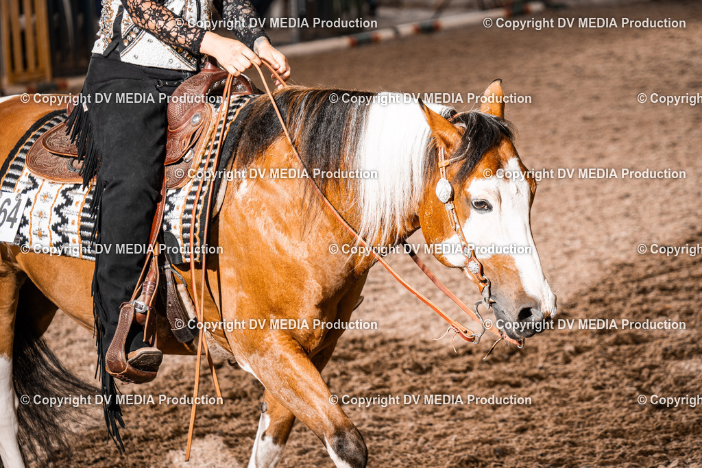 ZH300381 | dv-media-shop - Realisiert mit Pictrs.com