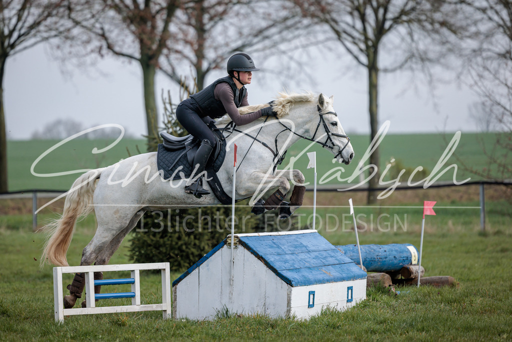 20260329-_3LI3745 | Tierfotografie Pferde, Hunde, Katzen, Haustiere.
Turnierfotografie Reitturniere, Reiten, Springreiten, Dressur in Hanau, dem Main-Kinzig-Kreis und dem Rhein-Main- Gebiet um Frankfurt