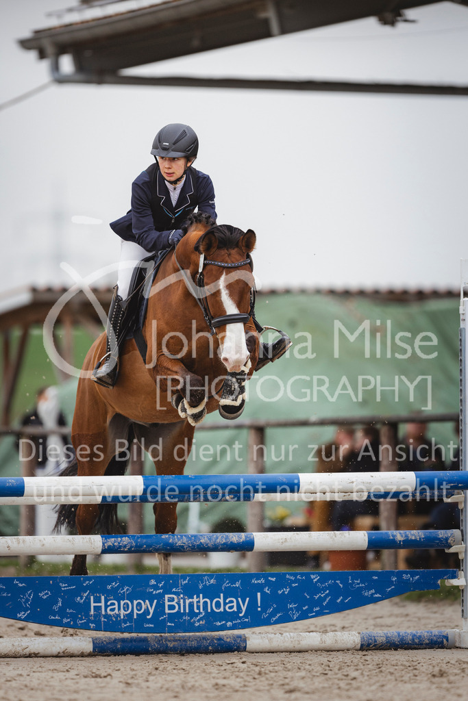 240330_Fruehlingsfest_Stil-A1_U30-424 | Deine schönsten Turniermomente als professionelle Fotos! Entdecke hochwertige Pferdesport-Fotografie im Online-Shop. Jetzt Fotos finden & bestellen!