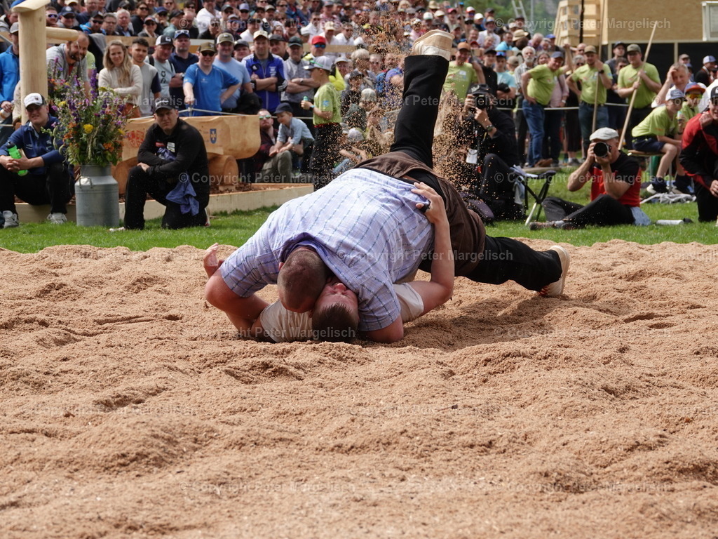 DSC07229 | Schwingen - Realisiert mit Pictrs.com