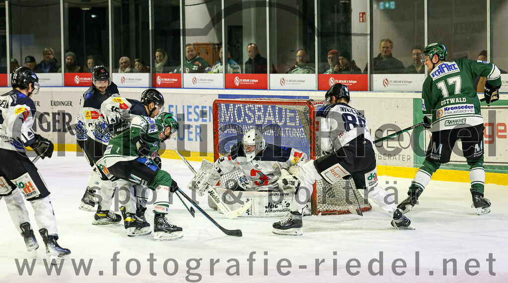 2024-01-26_104_TSV_Erding_gegen_HC_Landsberg | Erding, Deutschland, 26.01.2024:
Eishockey, Bayernliga Vorrunde 2023 / 2024, 28. Spieltag, TSV Erding gegen HC Landsberg, Endergebnis: 6:2

Markus Jänichen (HC Landsberg, #15), Torwart Moritz Borst (HC Landsberg, #32), Manuel Müller (HC Landsberg, #89), Elia Ostwald (Erding Gladiators, #17)

Foto: Christian Riedel / fotografie-riedel.net