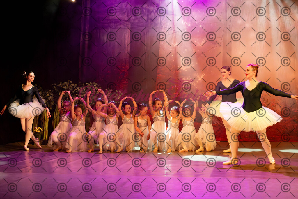 Ballettaufführung-593 | Bildershop Lem'n Entertainment - Realisiert mit Pictrs.com
