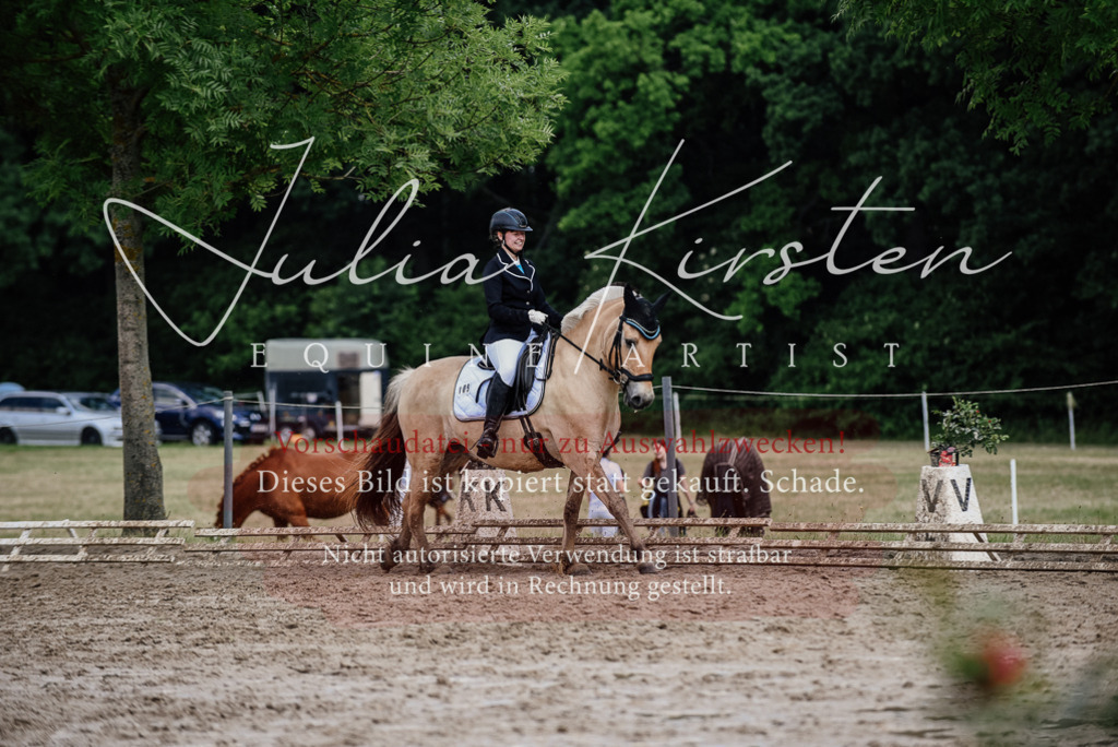 DSC_1699 | Pferde- und Turnierfotografie in Westsachsen. Pferdeportraits, Auftragszeichnungen und intuitive Kunst.