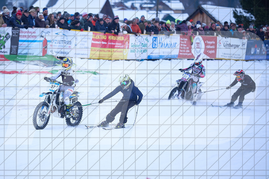 11. Holzknecht Skijöring | Skijöring am 24.01.2026: 11. Holzknecht Skijöring in Gosau am Dachstein, Oberösterreich, ÖsterreichFoto: © 2026 Martin Bihounek | mb-creative.eu