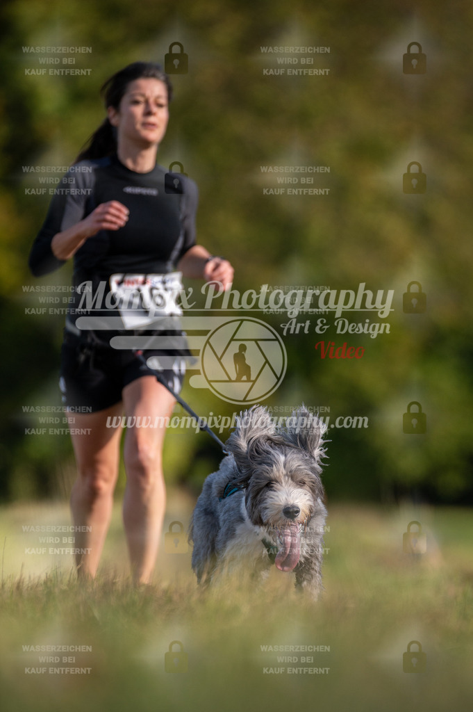 CDLBDB_15_10_2023_Dimanche-434 | PayLife