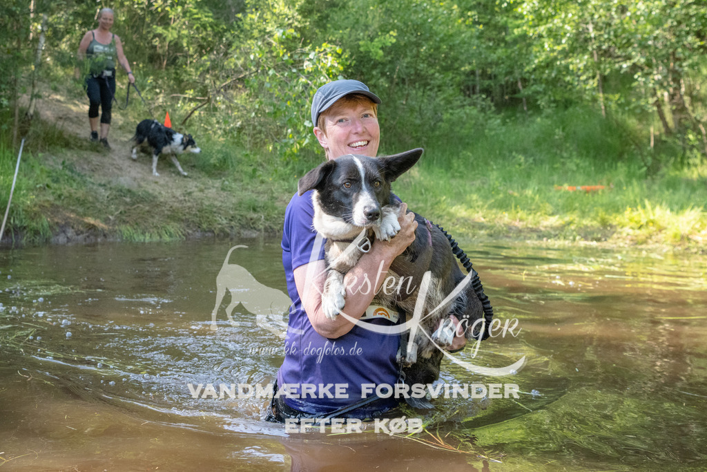 1703DKK991571 | kk-dogfotos