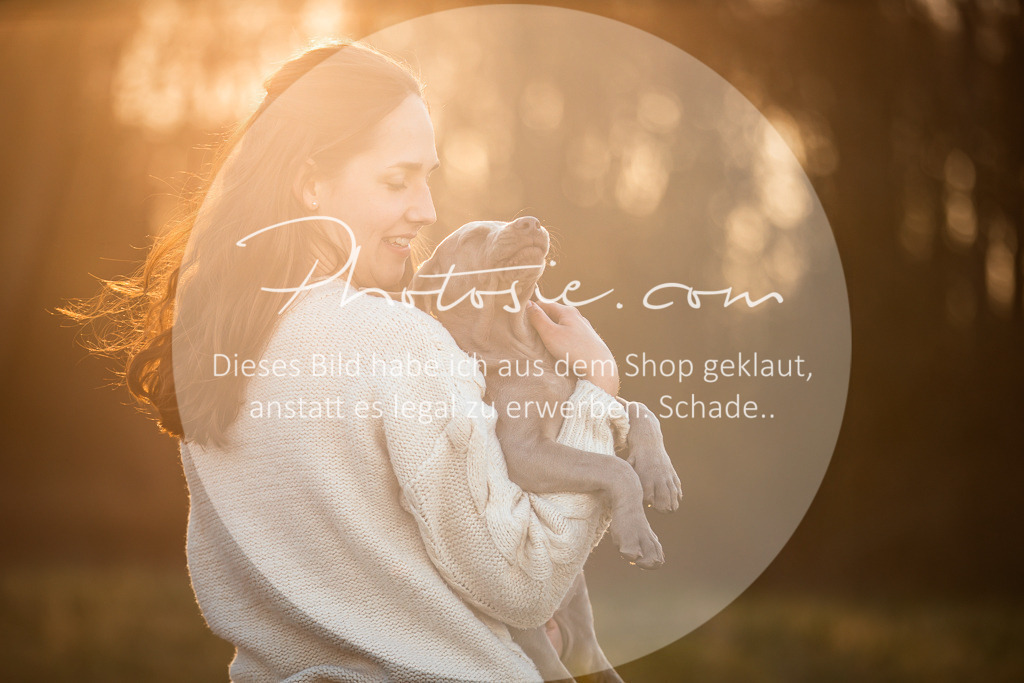 3I6A3054 | Stimmungsvolle Portraits und Reitsportfotografie im Ruhrgebiet und im Münsterland.

Pferdefotografie, Hundefotografie, Tierfotografie, Reportagen, Portraits von Tier und Mensch, Turnierfotografie in Bochum, Recklinghausen, Marl, Haltern am See, Dülmen.. - Realisiert mit Pictrs.com