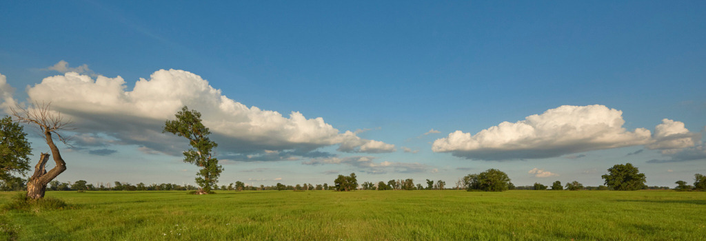 In der Elbaue bei Elster (Elbe) | Fotos als Raumschmuck - Realisiert mit Pictrs.com