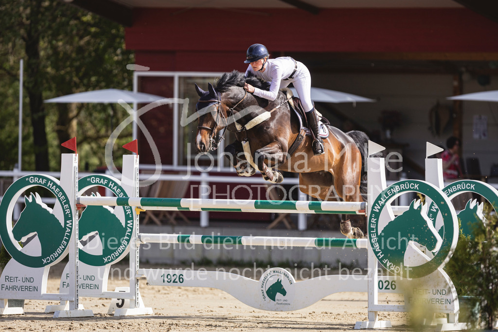 260503_Spenge_7_M2-Spr-m-steig-Anf-743 | Deine schönsten Turniermomente als professionelle Fotos! Entdecke hochwertige Pferdesport-Fotografie im Online-Shop. Jetzt Fotos finden & bestellen!