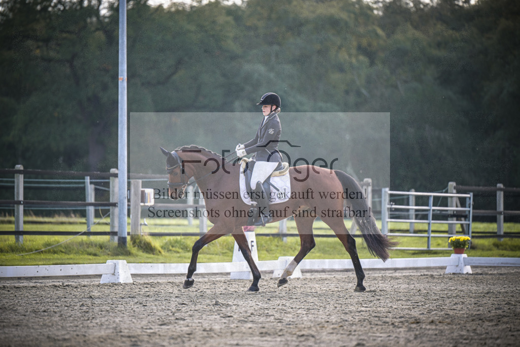 DOS_4981 | Entdecke hochwertige Reitturnierfotos von Foto Oger. Professionell, emotional und authentisch – jetzt Lieblingsmomente im Shop bestellen.Deutschlandweite Turnierfotografie. - Realisiert mit Pictrs.com