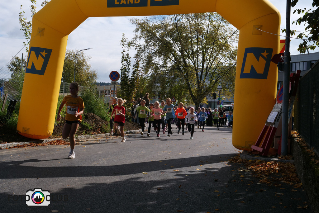 P1017505 | Foto Buchgraber