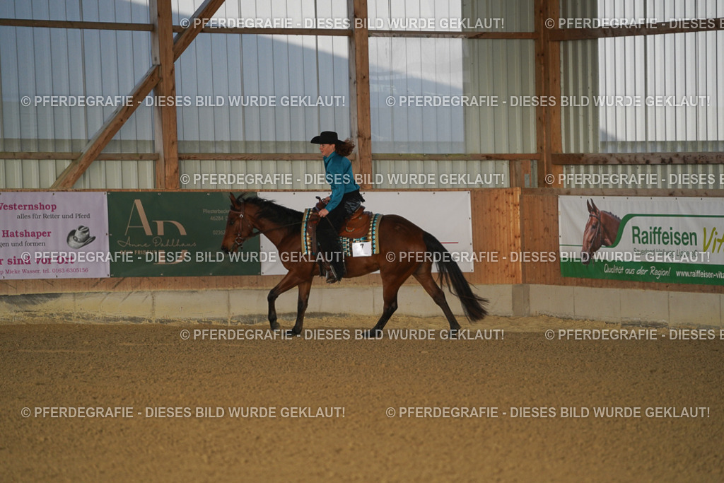 DSC08081 | Pferdegrafie