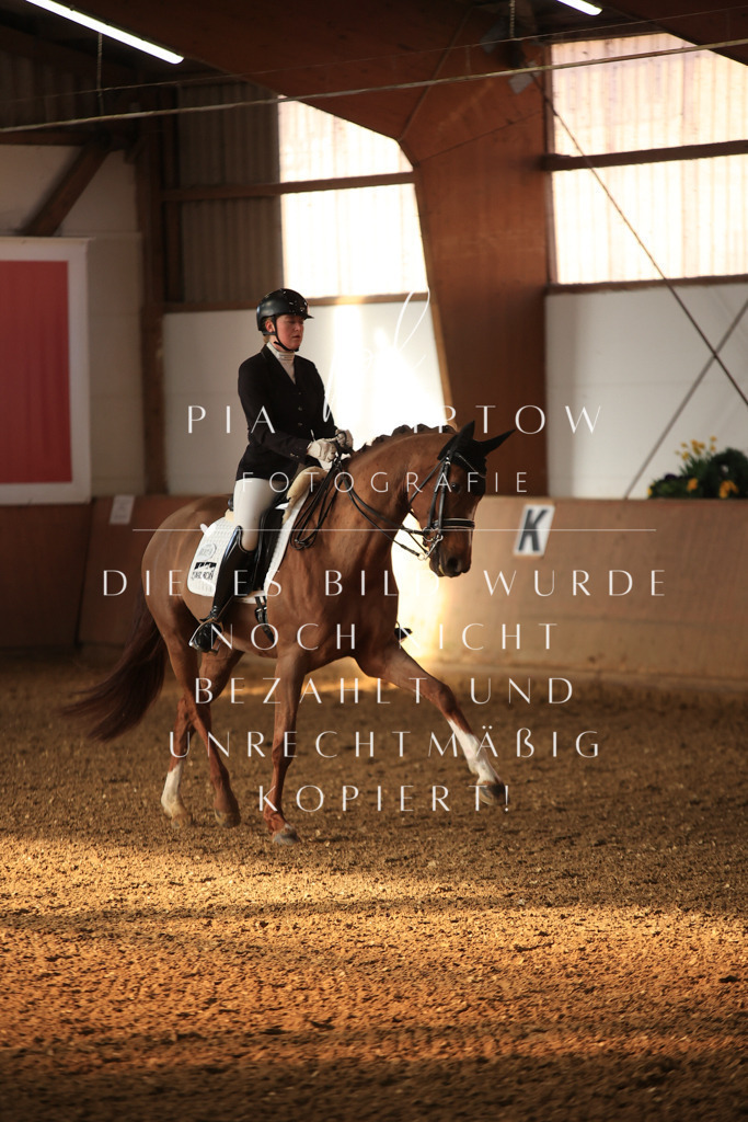 IMGT0399 | pl-fotografie