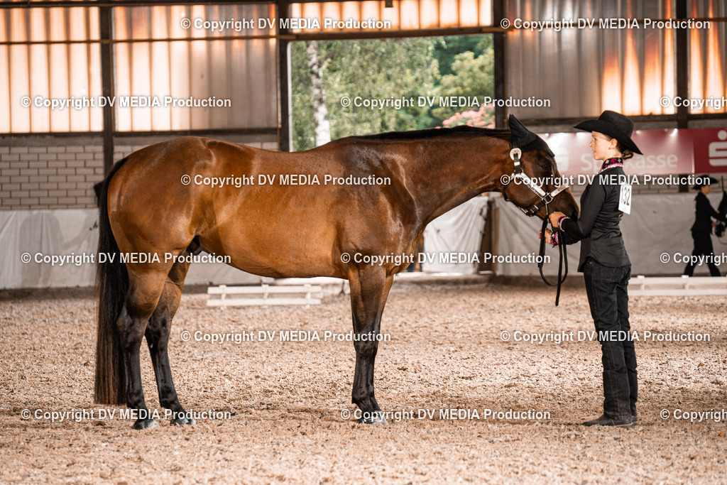 ZH200106 | dv-media-shop - Realisiert mit Pictrs.com