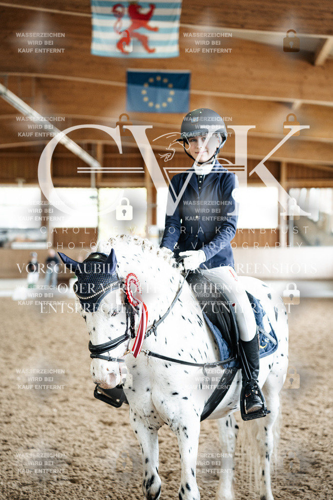 CK703340 | Turnierfotografie Pferdefotografie Trier Rheinland-Pfalz Pferdesport Reitsport Tierfotografie Sportfotografie Pferdevideo Pferdevideografie Equestrianvideography equestrianphotography  - Realisiert mit Pictrs.com