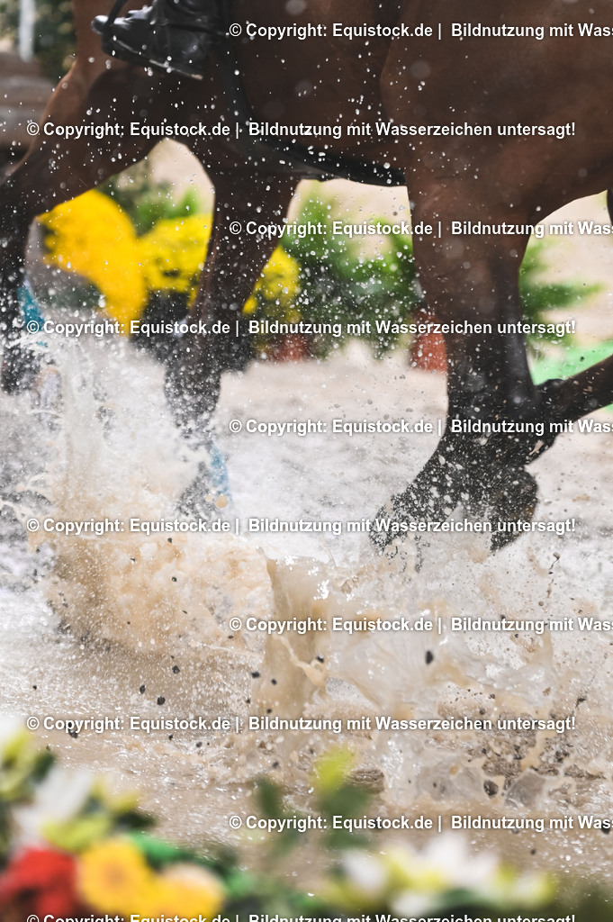 20251112_Indoor-Derby_TOMSPIC_0255 | Foto: Thomas Hartig