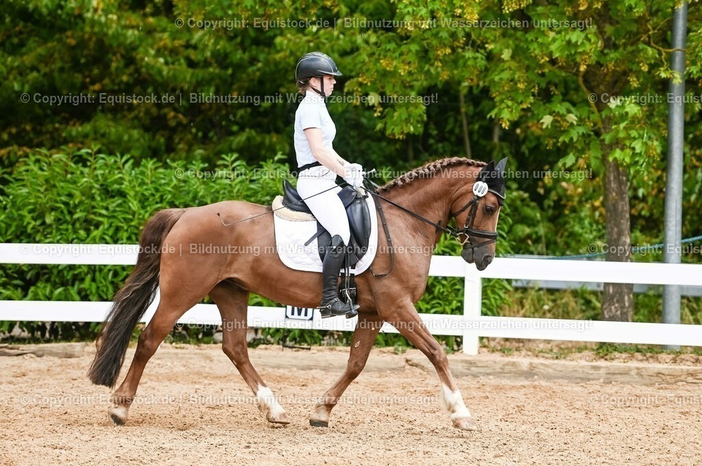 20230715_05_Dressurprüfung Kl.A++_0210 | equistock