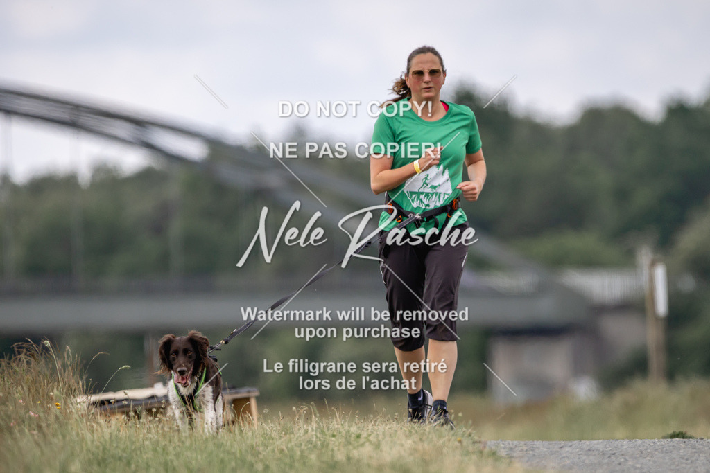 nelerasche_BuHu2026_SaCC1100-1200_64 | nelerasche