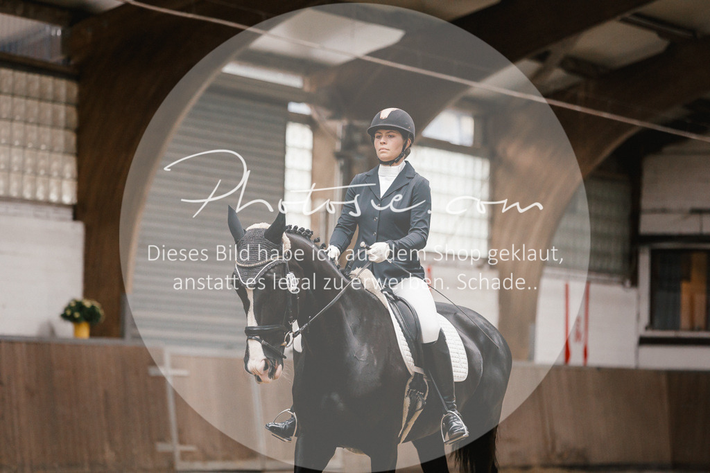 3I6A7868 | Stimmungsvolle Portraits und Reitsportfotografie im Ruhrgebiet und im Münsterland.

Pferdefotografie, Hundefotografie, Tierfotografie, Reportagen, Portraits von Tier und Mensch, Turnierfotografie in Bochum, Recklinghausen, Marl, Haltern am See, Dülmen.. - Realisiert mit Pictrs.com