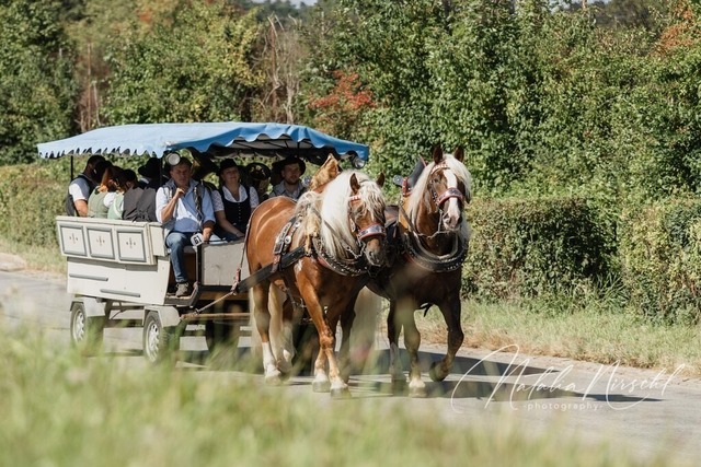 7V6A1999 | natalia-nirschl-photography