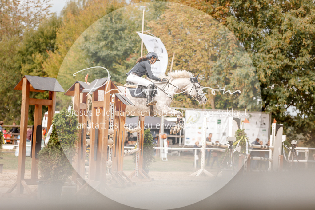 3I6A8203 | Stimmungsvolle Portraits und Reitsportfotografie im Ruhrgebiet und im Münsterland.

Pferdefotografie, Hundefotografie, Tierfotografie, Reportagen, Portraits von Tier und Mensch, Turnierfotografie in Bochum, Recklinghausen, Marl, Haltern am See, Dülmen.. - Realisiert mit Pictrs.com