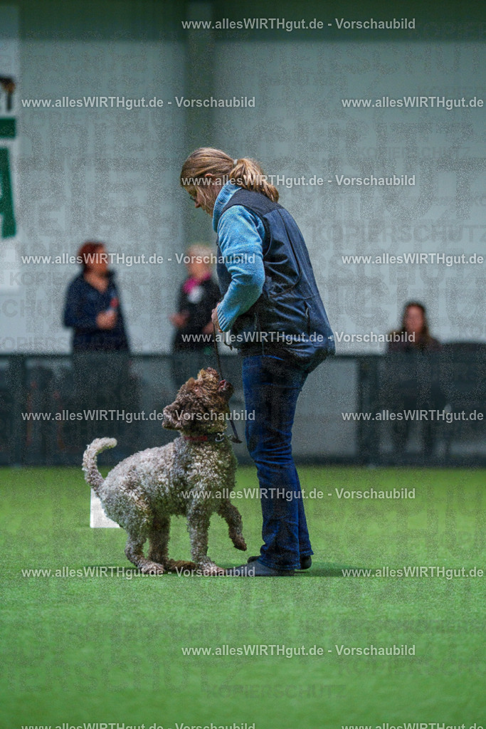 7R503056 | Professionelle Tierfotografie in Mönchengladbach von Daniel Wirth (allesWIRTHgut). Liebevolle & natürliche Bilder von Hunden & Katzen für unvergessliche Erinnerungen.