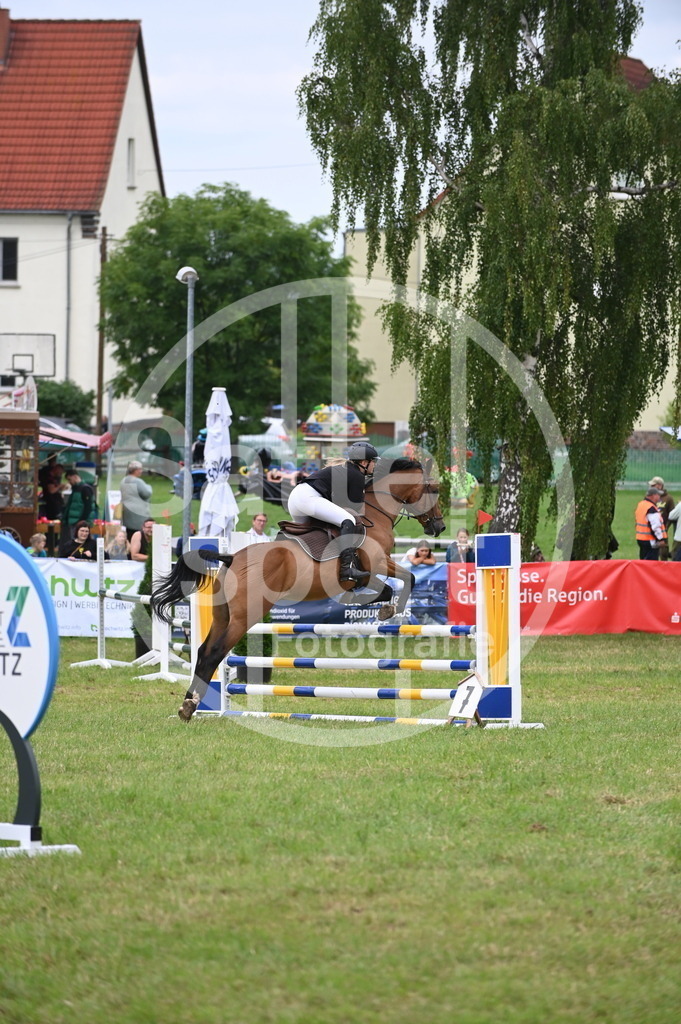 DSC_0511 | sattelsport - Realisiert mit Pictrs.com