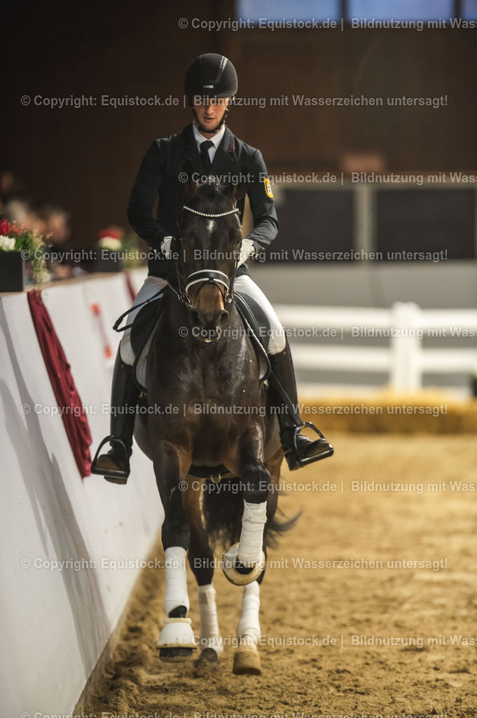 20240302_Hengstvorstellung_Marbach_TOMsPiC_0411 | equistock