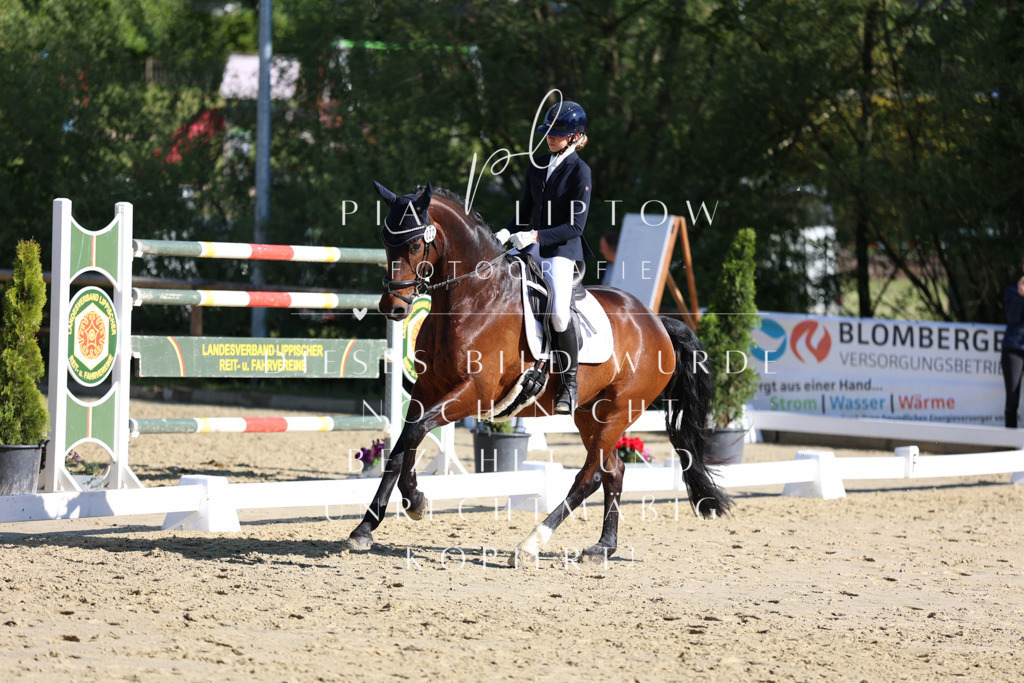 IMGT9616 | pl-fotografie