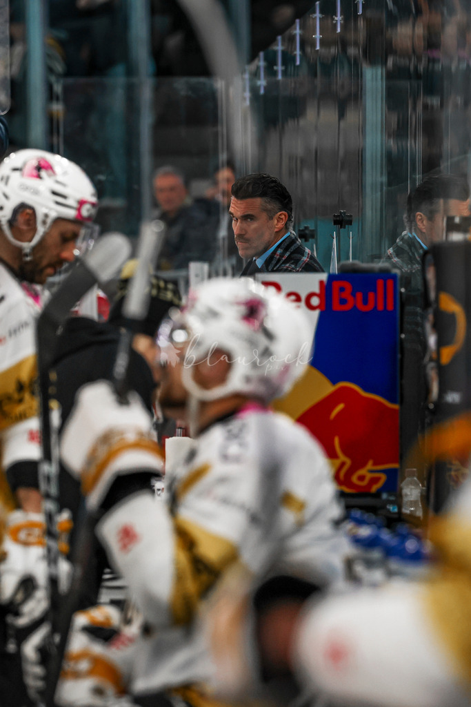 EHCB vs HCA 20260127_wb-9140 | Sportbilder, Sportfotograf, Hochzeits- und Eventfotografin, Flugshows, Portraits und Tiershooting, Aviation, Downhill, Nationalleague, Swissleague, International
