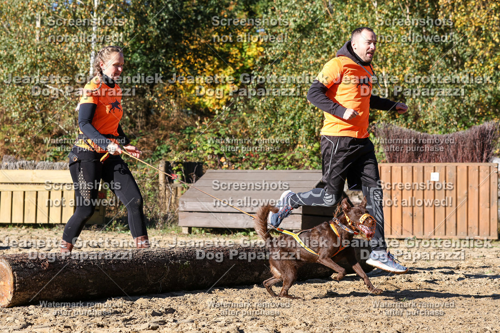 Dog Paparazzi - Strongdog 10-25-2065 | Dog Paparazzi Jeanette Grottendiek Fotografie & Videografie - Realisiert mit Pictrs.com