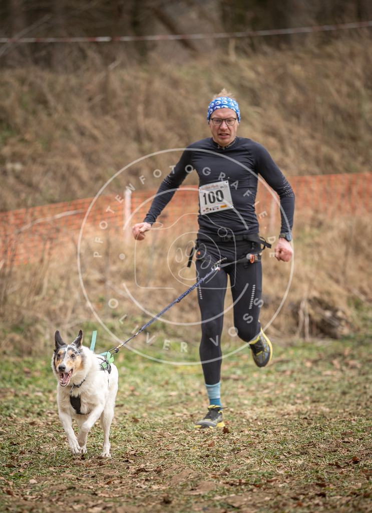 Pfotenfotografie_DV3A7429 | Hundefotografie, Tierfotograf, Pfotenfotografie, Fotoshooting Hund, Hunde Portrait, Hundesport, Hundeportraits, Heideshooting, Hunde, Sportfotograf, Hundefotograf, Turnierhundsport, THS,  - Realisiert mit Pictrs.com