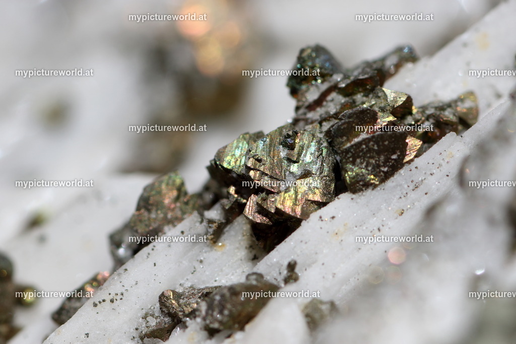 Pyrit-005 | Das Bilderarchiv über Tiere, Planzen und Landschaften. In der Bilddatenbank finden Sie ein große Auswahl an hochwertigen Bilder für Ihre Werbung - Realized with Pictrs.com