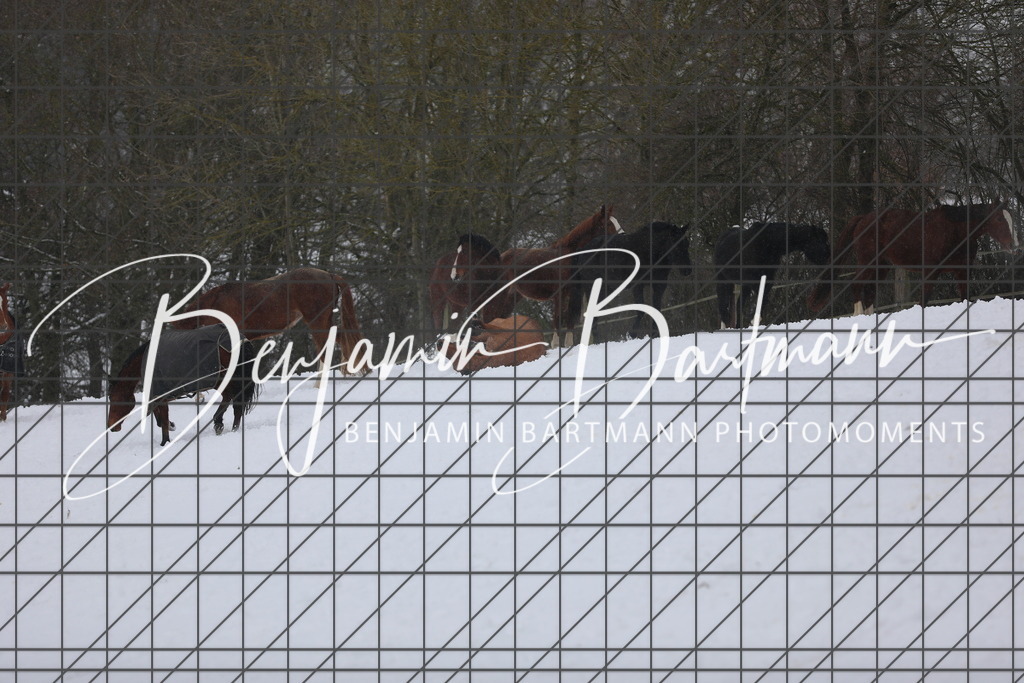 AZ2A3401 | Benjamin Bartmann Photomoments