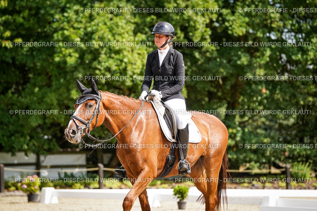 DSC08685 | Pferdegrafie