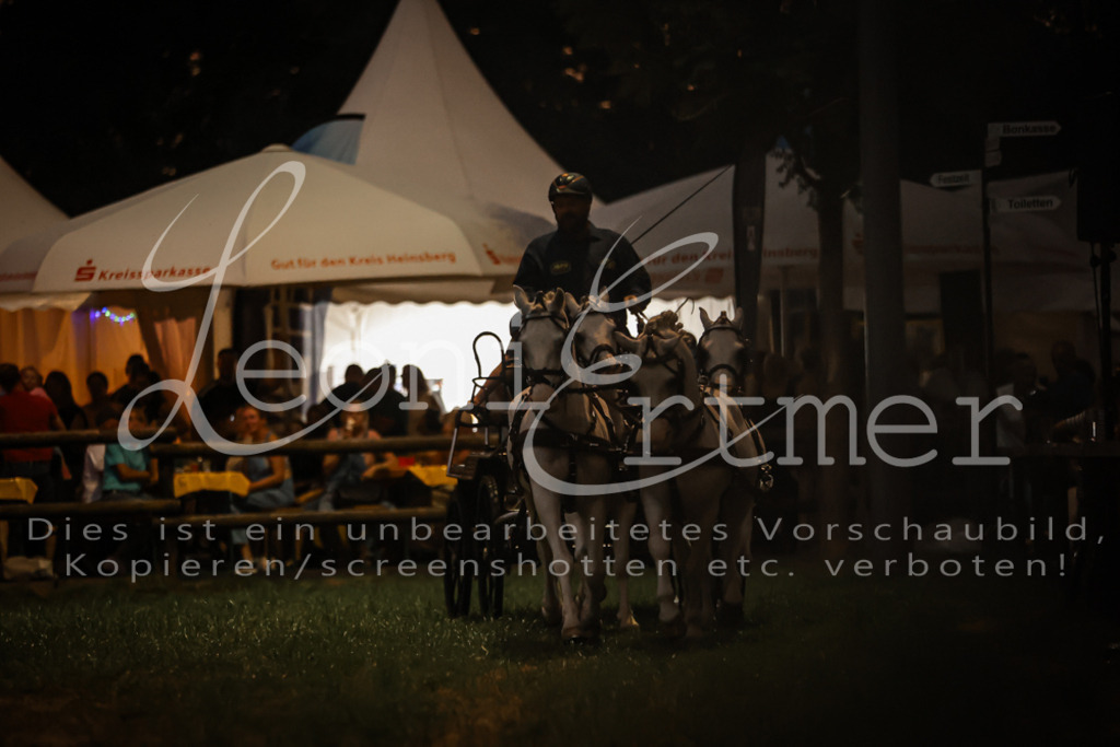 SaShow00300 | Leoni Ertmer Photography - Realisiert mit Pictrs.com