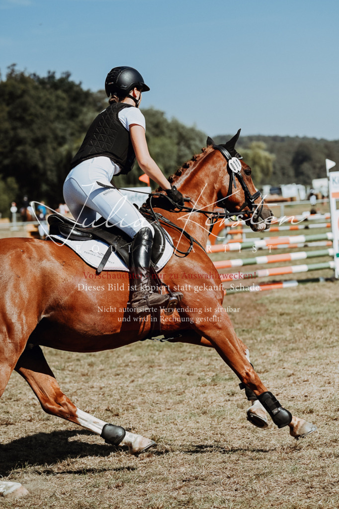 DSC_9942 | Pferde- und Turnierfotografie in Westsachsen. Pferdeportraits, Auftragszeichnungen und intuitive Kunst.