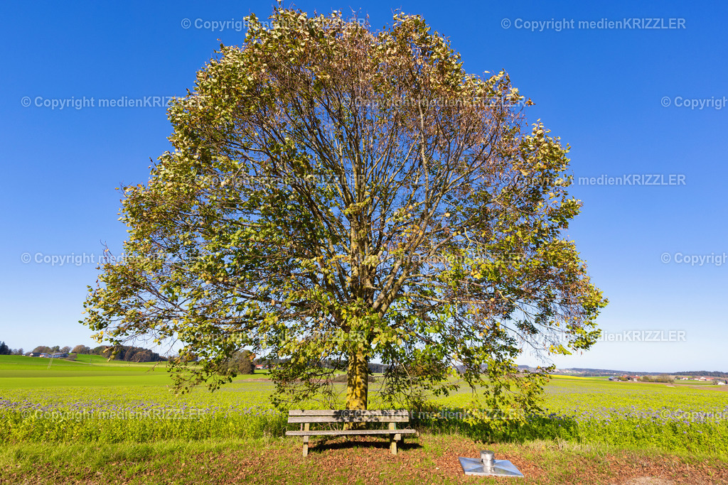 _J3A8939 | medienkrizzler - Realisiert mit Pictrs.com